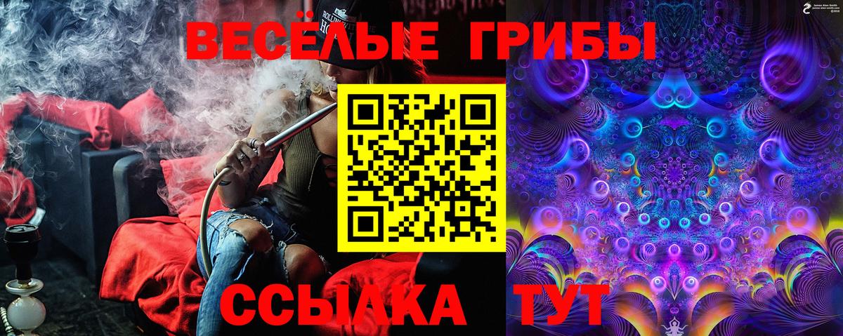 Галлюциногенные грибы ЛСД  Вход с VPN  Галлюциногенные грибы GOLDEN TEACHER  закладка  Тара 