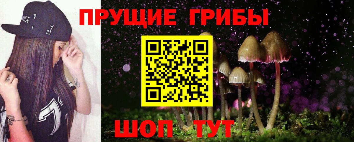 Галлюциногенные грибы GOLDEN TEACHER Тара